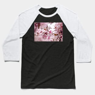 Spring Cherry Blossom Frame Baseball T-Shirt